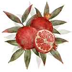 Podere Melograno.jpg